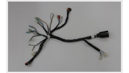 Wire Harness_007